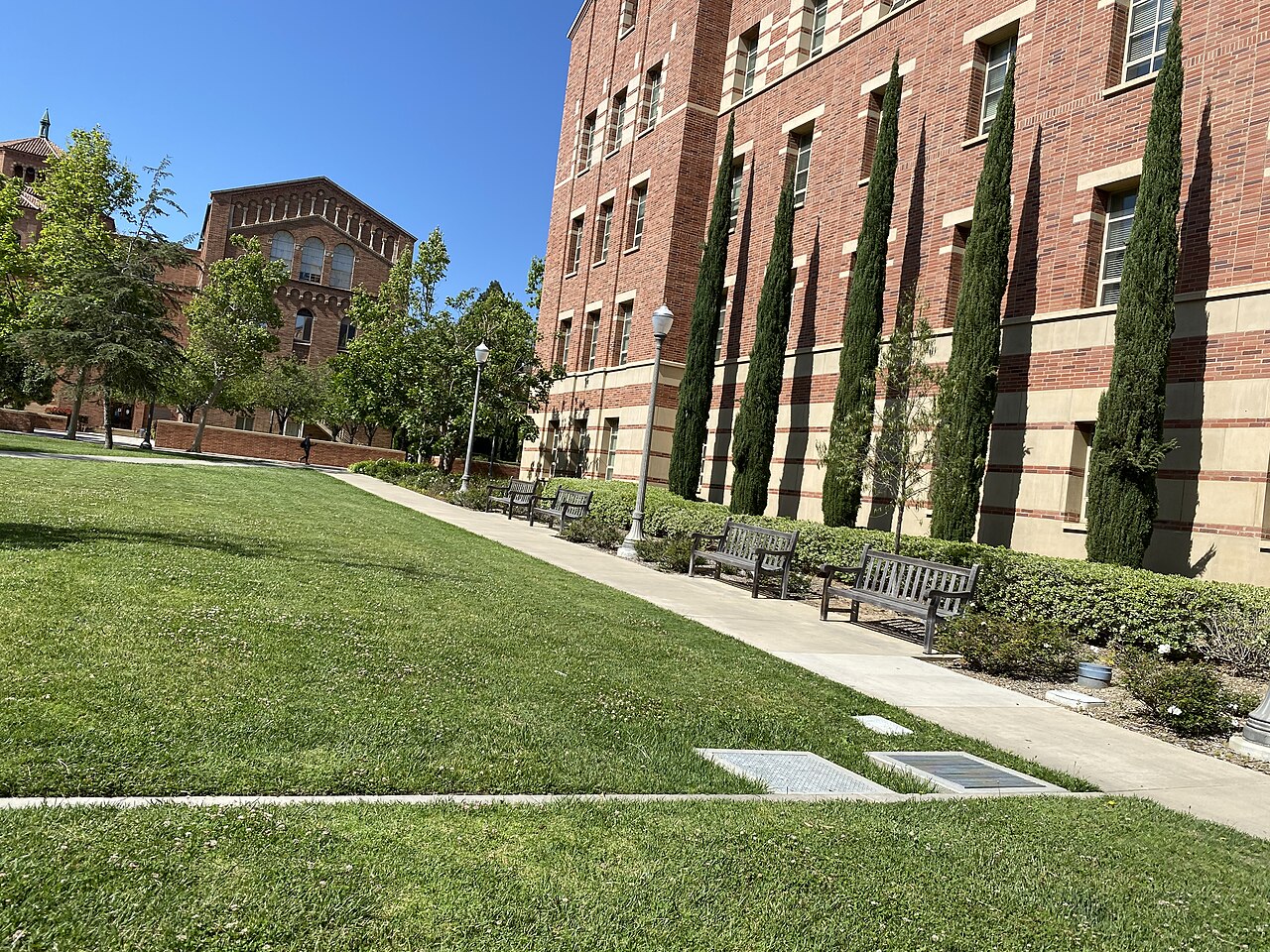 University of California-Los Angeles campus