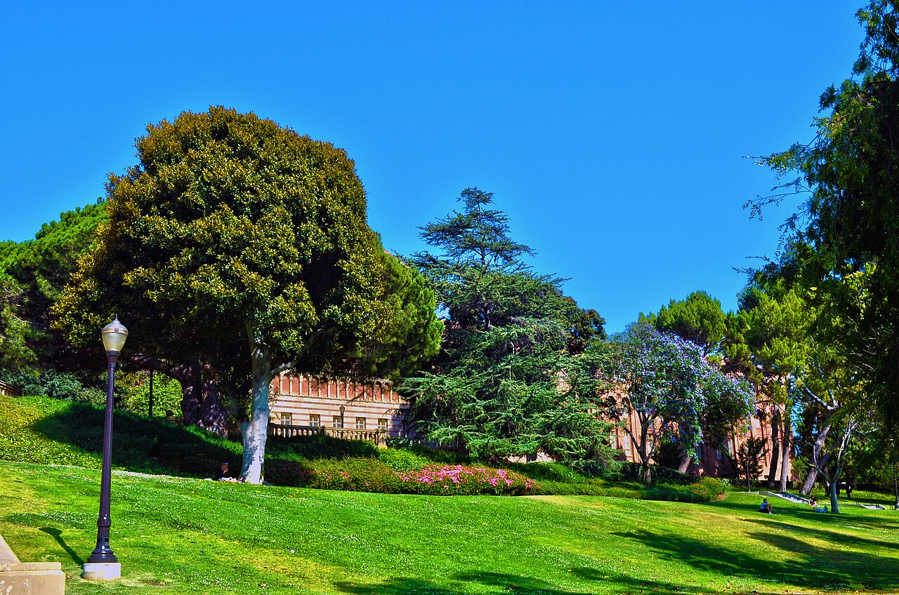 University of California-Los Angeles campus